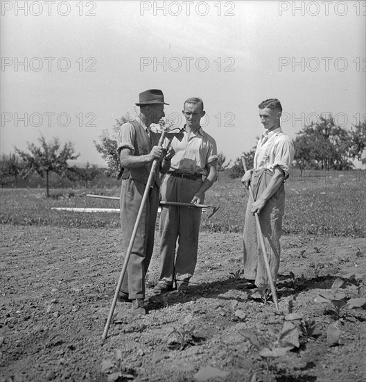 Examination of farmers at Wallierhof, Riedholz 1945