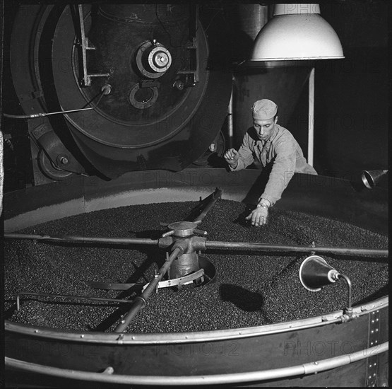 Worker in caffee roasting company, about 1960.