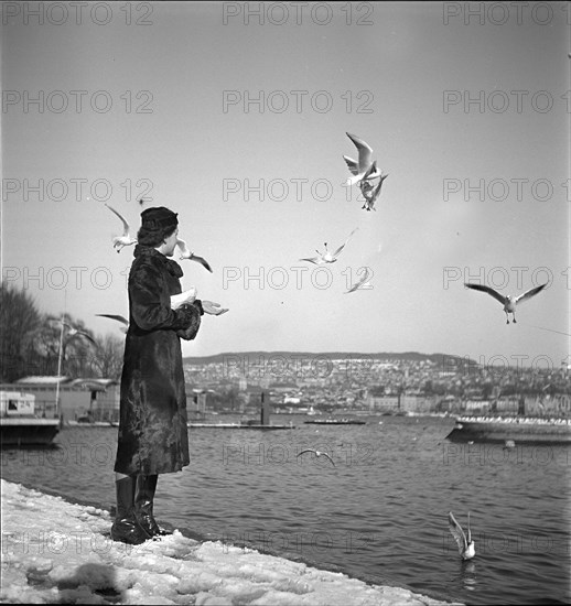 Woman feeding birds, Zurich 1938