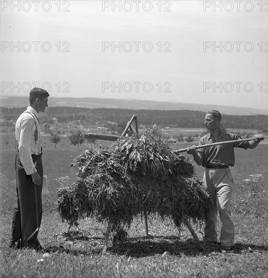 Examination of farmers at Wallierhof, Riedholz 1945