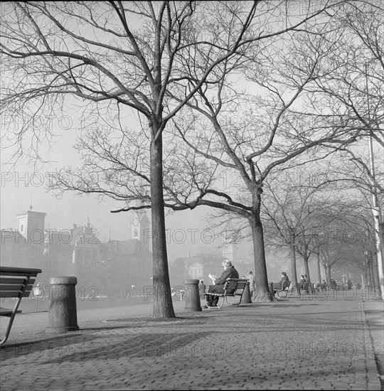 Autumn mood at the Limmat, Zürich ca. 1960.