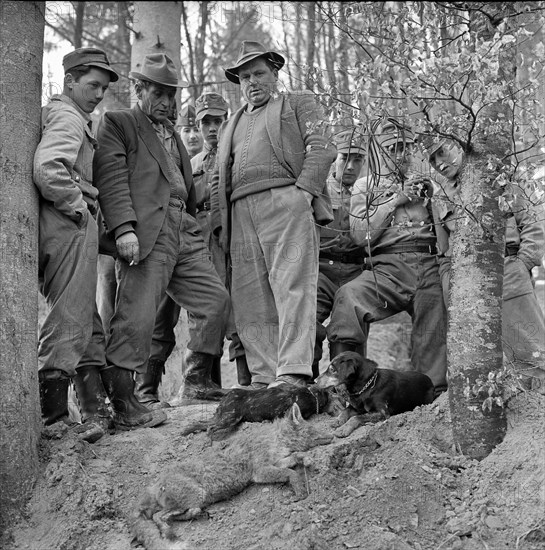 Dog tragedy in a fox-hole near Ammerswil AG, 1962: Soldiers with the dachshund and the dead animals.