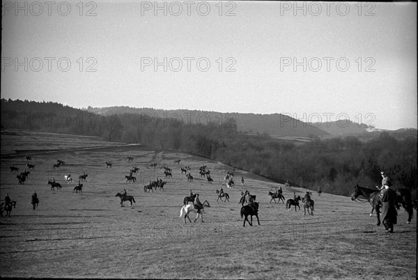 Willow near Chevenez. Cavalrymen riding their horses