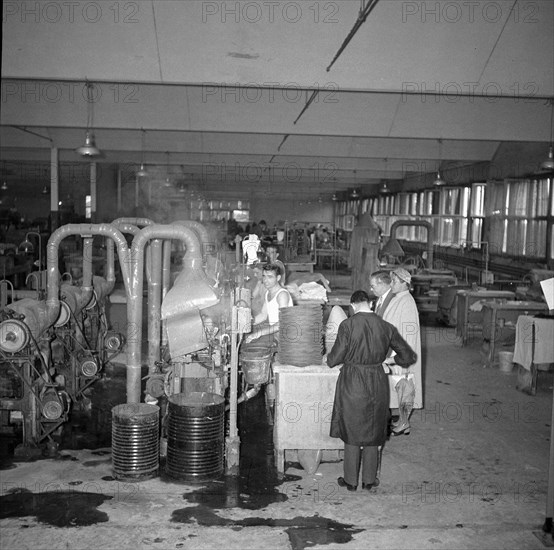 Hat factory, milliner supplier, La Moderna, Giubiasco, around 1955