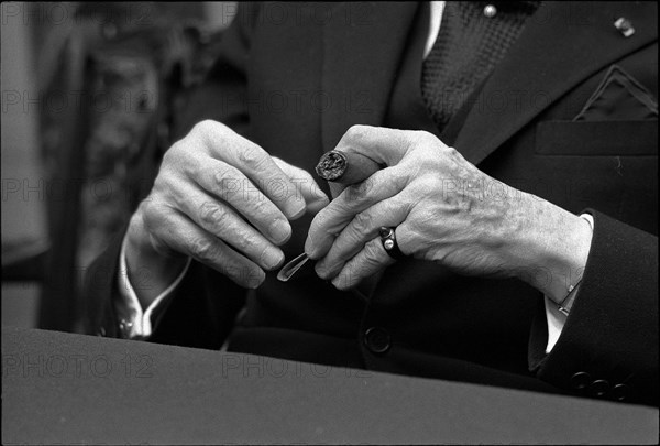 Arthur Rubinstein's hands, Zurich 1977