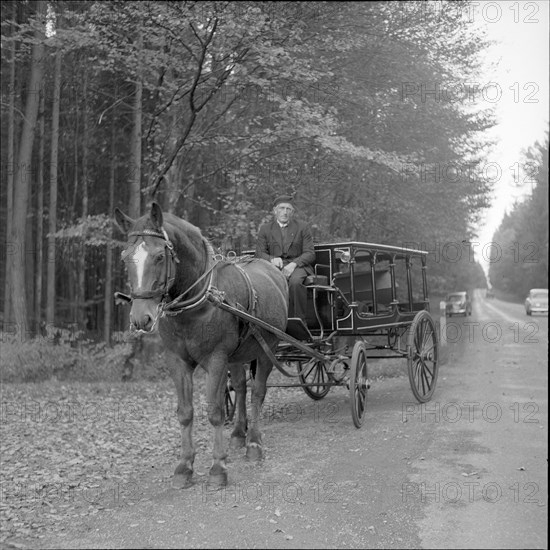 Horse-drawn carriage in fall, around 1960