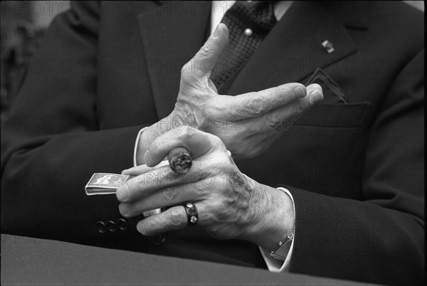 Arthur Rubinstein's hands, Zurich 1977