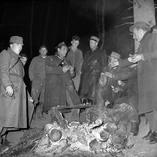 Dog tragedy in a fox-hole near Ammerswil AG, 1962: Soldiers at the fire