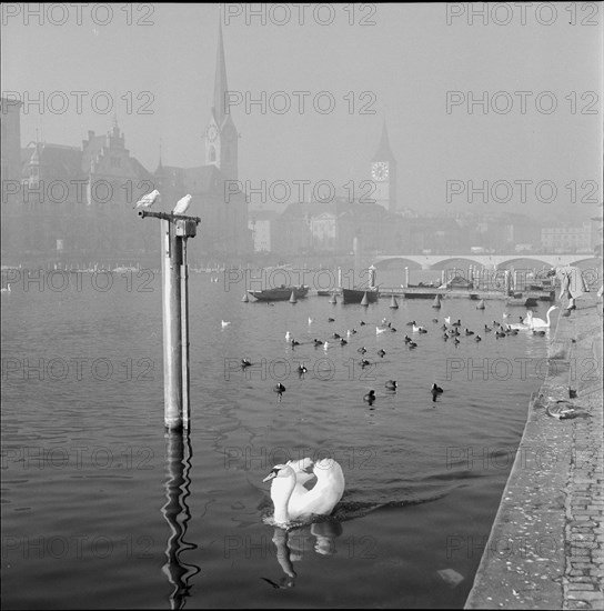 Autumn mood at the Lake Zurich, Zürich ca. 1960