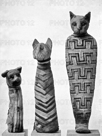 Mummified Egyptian Cats