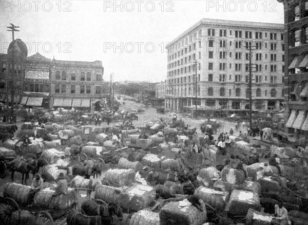 Cotton Arriving at Market