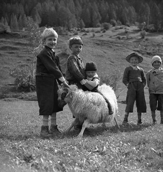 Children with sheep in the Lotschental, 1948.