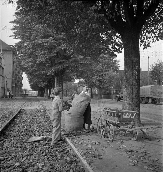 WW 2: economy of war; children collecting dead leaves.