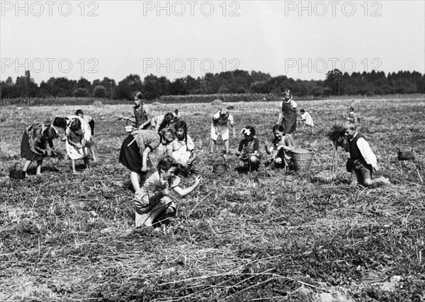 Gleaning.