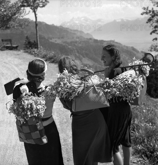 Young women with Montreux-narcissus in Les Avants, around 1955.