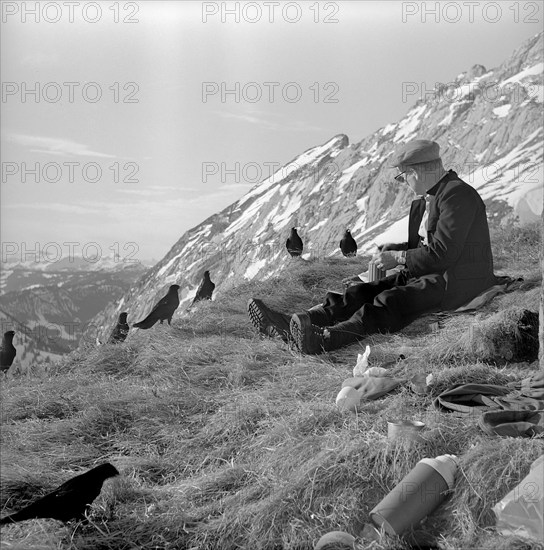 Man with jackdaws, Pilatus 1964.