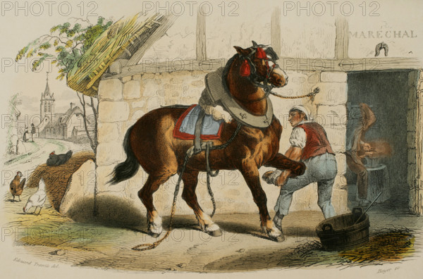 The draft horse. Drawing by Edouard Travies. Handcoloured engraving by Beyer. Chromolithography. ""Los Heroes y las Grandezas de la Tierra"" (The Heroes and the Grandeurs of the Earth). Volume VIII. 1856.