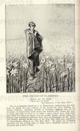 The Fields of Flanders  “Where are the Dead?”  “There are no Dead.”   Maeterlinck (“The Blue Bird”) This is a Canadian sketch by J A Shepperson, emphasizing that high-hope on which the true Culture of the world has been building for twenty centuries. Mankind, outside of Germany, believed that all the doctrines of materialism break down just because they reckon the dead as dead, and take no heed as to what a man’s labors here shall make him fitted for when he passes beyond earth’s Death. Hence when the Britons and Canadians sacrificed their lives by thousands on the “Flanders Fields” through all the years of the War, their faith was symbolized by Maeterlinck’s allegory in “The Blue Bird.” He makes the trembling searchers for the terrible field of death find it beautiful instead; for it blossoms into a field of lilies.