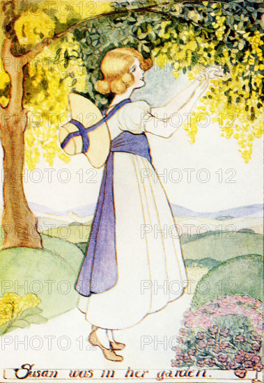 The 1917 caption reads: “Bending down a branch of the Laburnum tree- Queen of the May - Story - Simple Susan.” Simple Susan was written by Maria Edgeworth (died 1849), a prolific Anglo-Irish novelist of adults' and children's literature. She was one of the first realist writers in children's literature and was a significant figure in the evolution of the novel in Europe, and Louey Chisholm, a prolific children’s book writer. The bright yellow flowers hang in pendulous racemes up to 25 cm (10 inches) in length and produce pods that are slender and compressed. All parts of laburnums are poisonous, especially the seeds, and occasionally the plants have proved fatal to cattle, though hares and rabbits are unharmed.