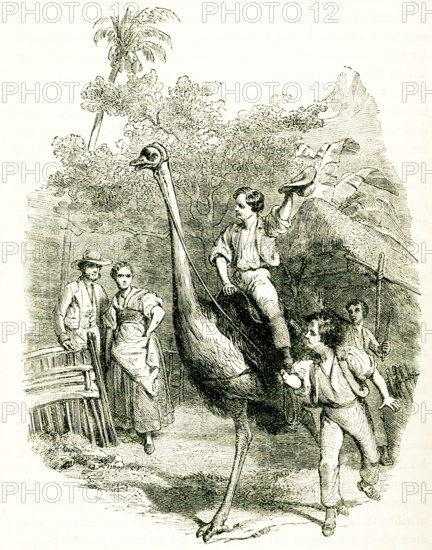 Swiss Family Robinson. The caption reads: “Riding an Ostrich.” The Swiss Family Robinson (German: Der Schweizerische Robinson) is a novel by Johann David Wyss, first published in 1812, about a Swiss family of immigrants whose ship en route to Port Jackson, Australia, goes off course and is shipwrecked in the East Indies.