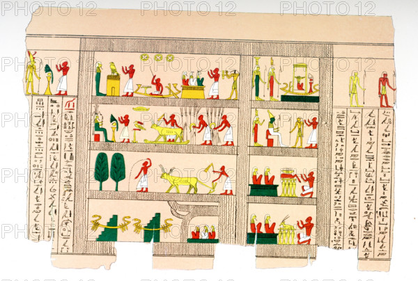 Manuscript on Papyrus in hieroglyphs. The caption on this 1903 image reads: “Manuscript on papyrus in hieroglyphs.” The two most common pigments seen on papyri are black and red.  The black ink you see most often is used for writing the letters of the hieroglyphs or hieratic text and is almost always a carbon black ink. The red was often used for rubrics such as titles and headings to distinguish them from the rest of the text.