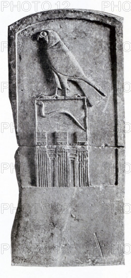 This tomb stele with the king's serpent is from Abydos in Egypt. It is known as the Stele of the Serpent King (one of the king's royal names). It owes its name to the cobra engraved at its center, and to Emile Amelineau, who discovered it in 1896. This is one of the oldest examples of monumental hieroglyphs from the earliest Egyptian dynasties (beginning in 3100 B.C.). This royal stele is outstanding both for its size and its craftsmanship. It is not only a historical document of prime importance, but also a precious example of artistic and linguistic conventions dating back to 3100 BC and the first pharaohs of Egypt. The cobra is contained within a rectangular sign representing a building (probably the royal residence). The outside, a decorated wall, and the inside (featuring the royal name) are visible. The rectangle is topped by a falcon, sacred to the god Horus whom the pharaoh incarnated on earth. The inscription thus reads 'Horus Cobra', naming the king, a successor of Horus in t...