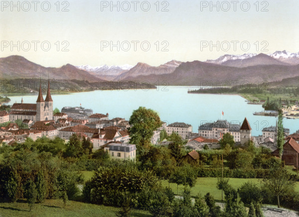 Lucerne