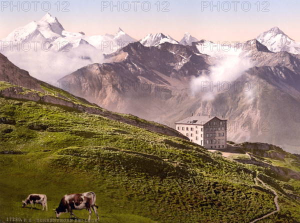 Torrenthorn Is A 2998 M Above Sea Level High Peak In The Western Bernese Alps Above Leukerbad In The Valais In Switzerland / Leukerbad