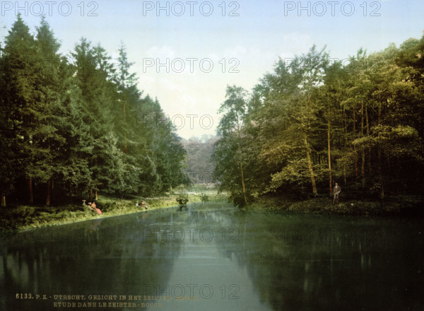 In the Zeister Forest, around 1895, historical, digitally restored reproduction from an original from the 19th century.