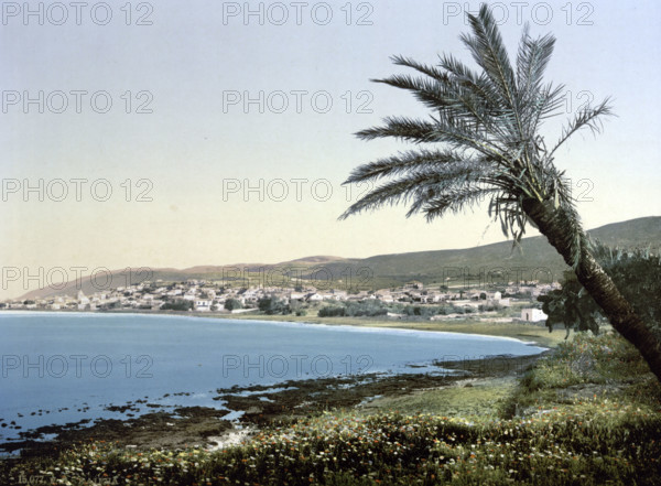 View from the foot of Mount Carmel, around 1895, historical, digitally restored reproduction from an original from the 19th century.