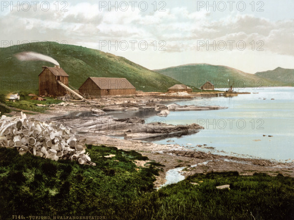 Whaling station in Tufjord, Norway, around 1895, historical, digitally restored reproduction from an original from the 19th century.