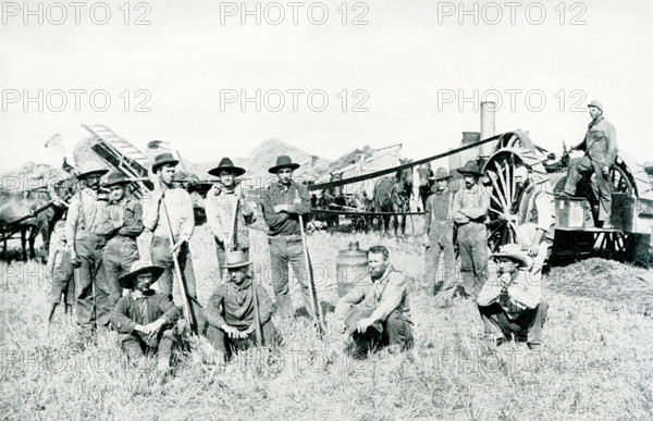 This 1903 picture of the Threshing Crew has a large machine at the right that is the engine for furnishing power to run the threshing machine. The long belt transmits the power from the engine to the separator, The huge pile of material in the background is the refuse straw and chaff that has been winnowed from the wheat and discharged through the long pipe resting upon the side of the mound.