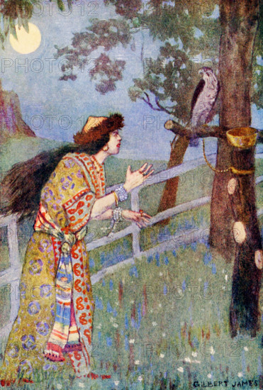 The caption for this illustration reads: Paul's gray falcon's neck turned. In Serbia mythology, Yelitza, was the sister of Paul and Radool. Paul's jealous wife persuaded him that his sister had killed their son, so Paul had Yelitza pulled apart by horses. A church arose on the spot where she died.  Here Paul is outside addressing a falcon. The illustration is from a 1921 book on Serbian myths and legends.