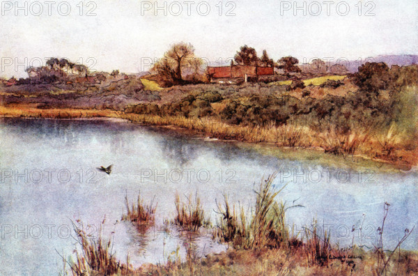 Bean's Pond in Selborne