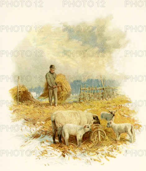 The caption for this illustration reads: While the earth remaineth, seed-time and harvest, and cold and heat, and summer and winter, and day and night shall not cease. The scene shows a farmer with his hay bales and sheep feeding on the hay. It accompanied Phillips Brooks's Poems.  Brooks was an Episcopalian minister in Boston in the late 1800s.