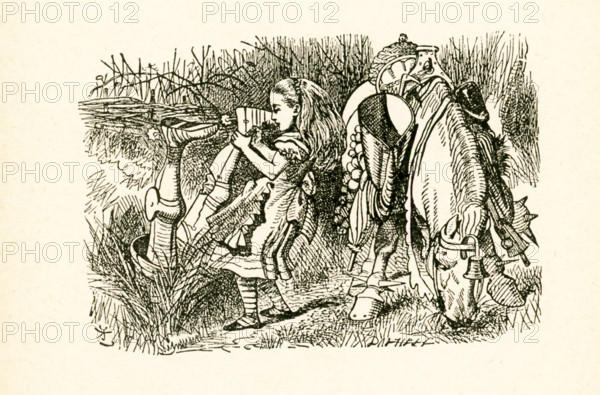 This illustration of Alice and the White Knight with his horse in ditch is from ""Through the Looking-Glass and What Alice Found There"" by Lewis Carroll (Charles Lutwidge Dodgson), who wrote this novel in 1871 as a sequel to ""Alice's Adventures in Wonderland."" Here Alice is pulling the White Knight from the ditch.