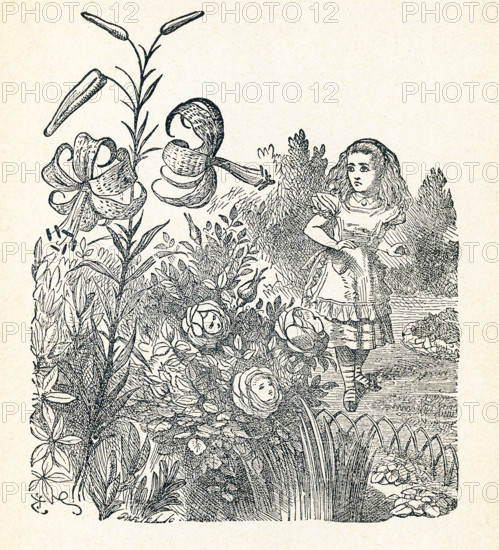 This is a scene from what Alice saw once she went through the Looking Glass and into the Looking Glass room in Lewis Carroll's ""Through the Looking Glass."" Here Alice is in the Garden of Live Flowers. You can see tiger-lilys and daisies.