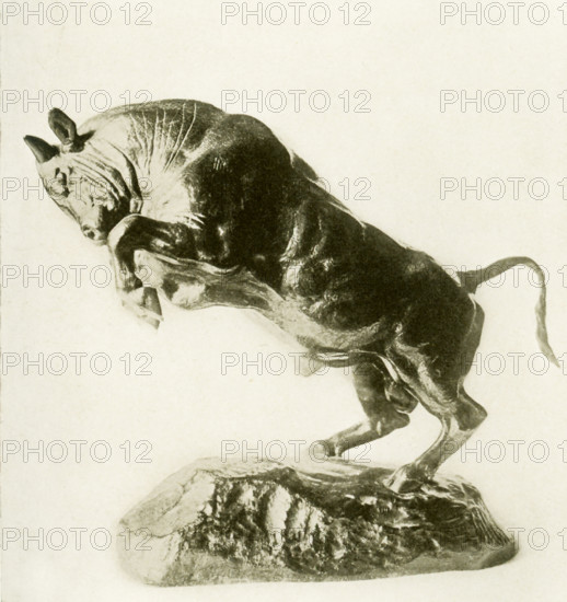 Antoine Louis Barye  (1795-1875) was a Romantic French sculptor. He is best known as a sculptor of animals (therefore, an animalier). This bronze sculpture by Barye is titled ""The Prancing Bull"" (""Taureau Carre"") and belonged to the collection of the late Cyrus J. Lawrence, Esq.