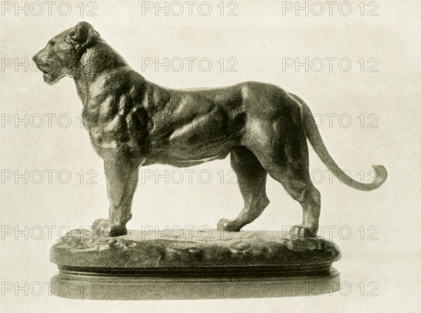 Antoine Louis Barye  (1795-1875) was a Romantic French sculptor. He is best known as a sculptor of animals (therefore, an animalier). This bronze sculpture by Barye is titled ""A Lioness""  and belonged to the collection of the late Cyrus J. Lawrence, Esq.