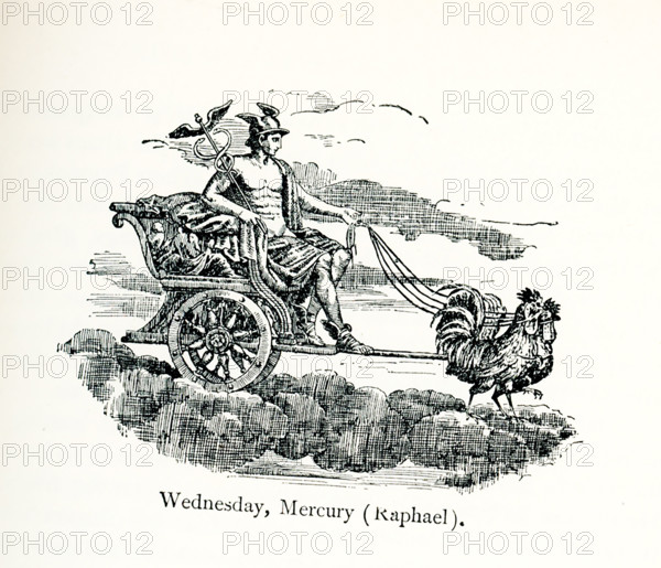 This illustration shows the Roman messenger Mercury in his chariot pulled by two roosters. It dates to 1695, an engraving by Lasinio, patterned after a roundel in the ceiling painting (based on drawings by Raphael) of the Sala Borgia in the Vatican that is based on drawings in 1516 by the Italian artist Raphael.