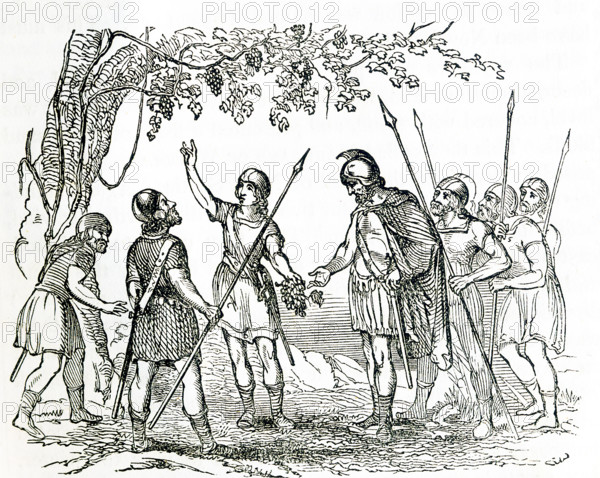 This illustration dates to around 1846 and shows the Northmen discovering grapes in Vinland. Vinland is an old Norse term for the area of coastal North America explored by the Norse Vikings. On such Viking was Leif Erikson (Ericson) who landed there around 1000 A.D. Vinland, or Vineland, reflects the rich soil that allowed for the growing of grapes.