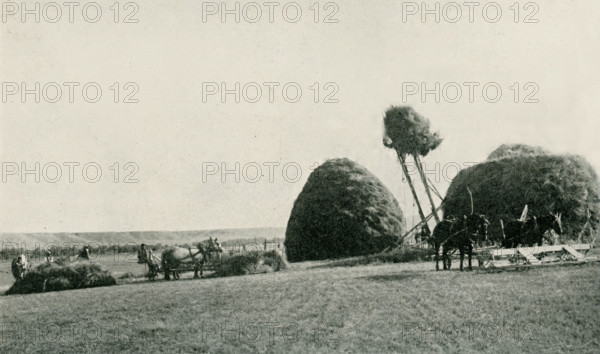 This photo dates to the early 1920s. Its caption reads: Stacking Hay by Modern Methods. A scene on the YU ranch, Big Horn County Wyoming.