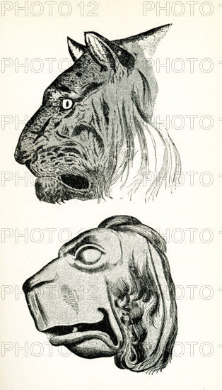 This illustration of these tiger's heads is from John Ruskin's essay ""The Seven Lamps of Architecture,"" published in 1849. The caption in Ruskin's book reads: Tiger's Head and improvement of same on Greek principles- Ruskin wrote first drawn from life, 2nd based on Greek ideal beast. John Ruskin was the leading English art critic of the Victorian era, as well as an art patron, draughtsman, watercolorist, philosopher, prominent social thinker and philanthropist. He wrote on subjects as varied as geology, architecture, myth, ornithology, literature, education, botany and political economy. The 'lamps' of the title are Ruskin's principles of architecture.