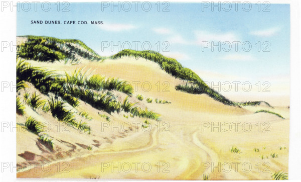 Sand Dunes on Cape Cod