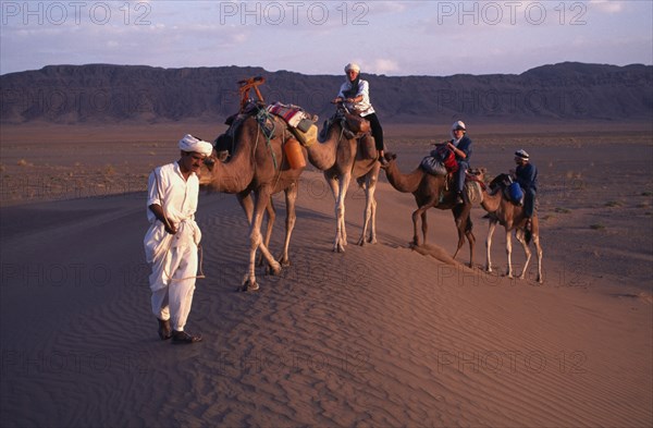 MOROCCO, Zagora Camel Trek, Guide leads Camels through the Desert