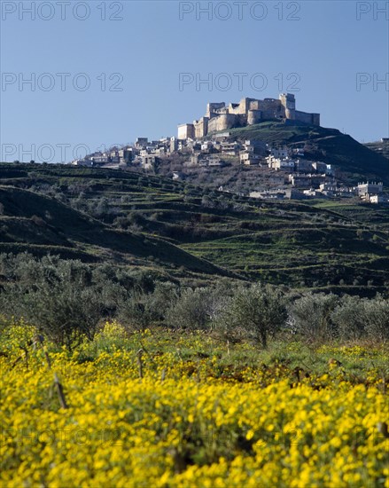 SYRIA, Central, Crac des Chevaliers, "The Crusader Castle on hilltop, village surrounds, yellow flowers "
