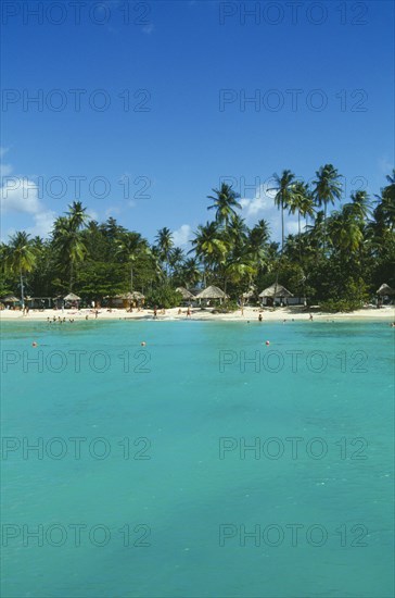 WEST INDIES, Tobago, Pigeon Point, Coconut palm tree lined beach with thatched sun shades and tourists seen from the sea