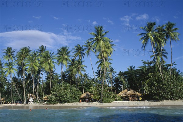 WEST INDIES  , Tobago, Pigeon Point, Beach with thatched huts and palm trees overlooking water.