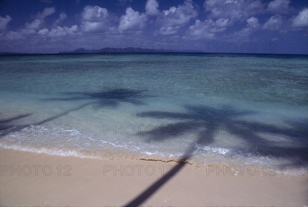 PACIFIC ISLANDS, Fiji, Taveuni Island, Lavena beach. Palm tree shadows on sandy beach with lapping waves