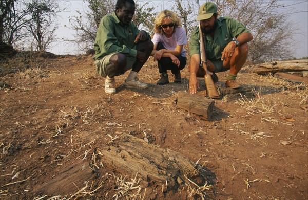 ZIMBABWE, Matusadona National Park, Trailists looking at a fossilised tree at mashonaland.